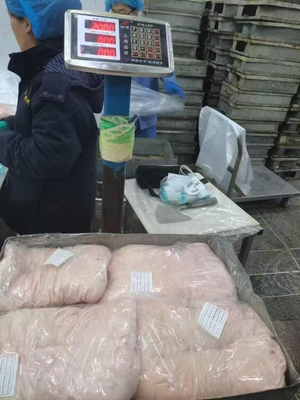 Lamb Tail Fat Frozen Halal Mutton Tail Fat Lamb Tail Fat