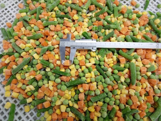 IQF Four Frozen Vegetables Green Pea&sweet Corn Kernels&carrot&green Bean