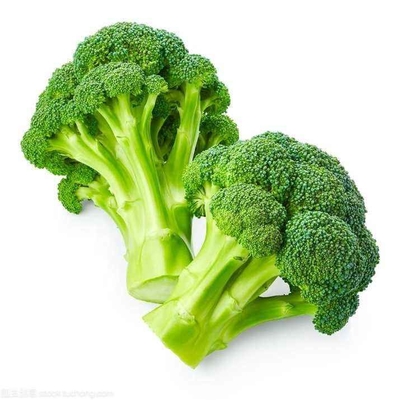 High Quality IQF Factory Frozen Vegetables Wholesale Price Frozen Broccoli
