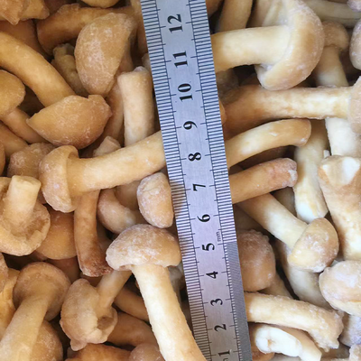 Fruits Frozen Mushroom IQF Frozen Nameko