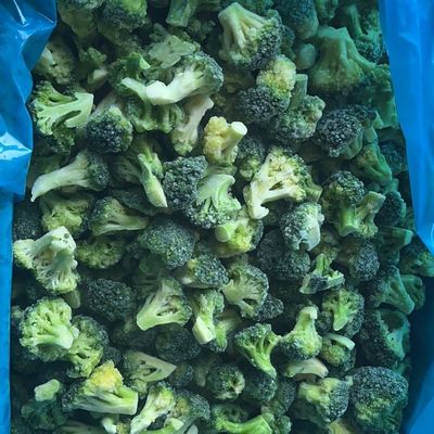 Giá bán buôn giá cao IQF Frozen Broccoli Ready Stock cho nhà hàng