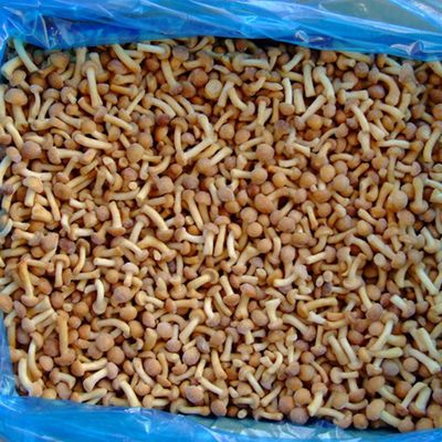 Trái cây đông lạnh Nấm IQF Nameko đông lạnh