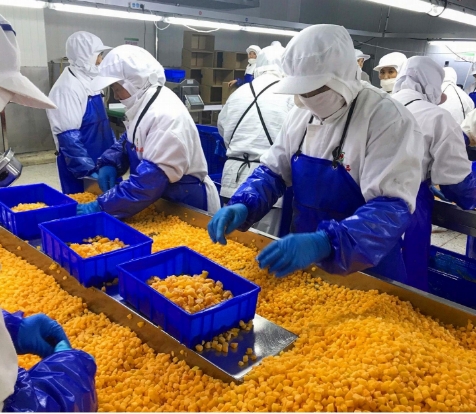 Sinocharm Sản phẩm 4 sao BRC-A Đ&agrave;o v&agrave;ng tươi 10x10mm Tr&aacute;i c&acirc;y cắt hạt lựu đ&ocirc;ng lạnh IQF Khối đ&agrave;o v&agrave;ng 3