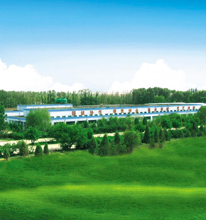 Sinocharm Sản phẩm 4 sao BRC-A Đ&agrave;o v&agrave;ng tươi 10x10mm Tr&aacute;i c&acirc;y cắt hạt lựu đ&ocirc;ng lạnh IQF Khối đ&agrave;o v&agrave;ng 8