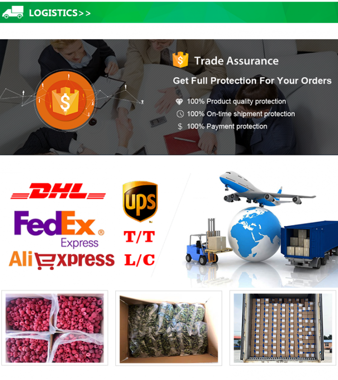 Nhập khẩu IQF đ&ocirc;ng lạnh quả dứa cube tr&aacute;i c&acirc;y đ&ocirc;ng lạnh với gi&aacute; tốt 5