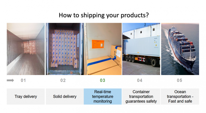 Chuối Iqf đ&ocirc;ng lạnh từ Trung Quốc Sản phẩm n&oacute;ng được cắt để xuất khẩu với chất lượng cao 2