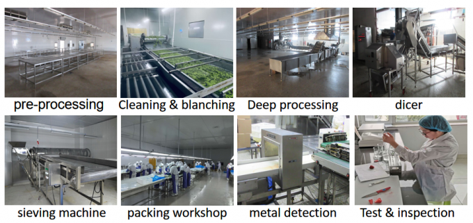 Trung Quốc cung cấp chất lượng tốt nhất gi&aacute; tốt Iqf rau đ&ocirc;ng lạnh to&agrave;n Okra Gumbo 8