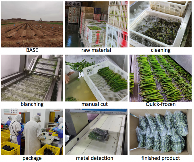 Xăng Xăng Xăng Xanh Xanh Xanh Xanh Xanh Xanh Xanh Xanh Xanh Xanh Xanh Xanh Xanh Xanh Xanh Xanh Xanh Xanh Xanh Xanh Xanh Xanh Xanh 4