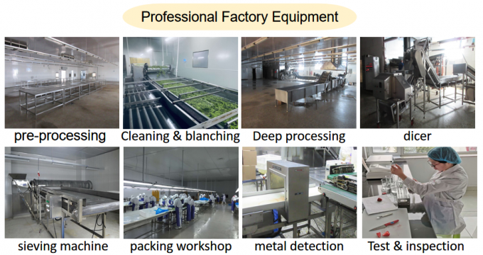 Gi&aacute; xuất xưởng của nh&agrave; sản xuất IQF Thực phẩm tươi chất lượng cao M&acirc;m x&ocirc;i đ&ocirc;ng lạnh Serbia để xuất khẩu 6