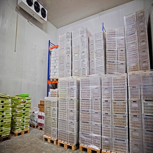 Gi&aacute; rẻ Chất lượng h&agrave;ng đầu &Iacute;t b&eacute;o Sạch Đ&atilde; được chứng nhận HALAL Gan cừu đ&ocirc;ng lạnh 3