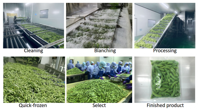 Trung Quốc Nh&agrave; cung cấp đậu n&agrave;nh IQF Edamame đ&ocirc;ng lạnh trong vỏ 4