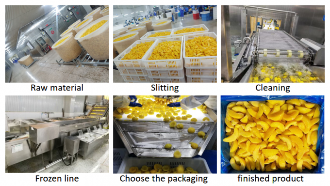 Đ&agrave;o v&agrave;ng đ&ocirc;ng lạnh nguy&ecirc;n miếng loại lớn 10KG - L&yacute; tưởng cho đ&oacute;ng hộp & xuất khẩu 3