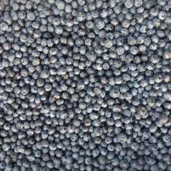 IQF đ&ocirc;ng lạnh quả việt quất nguy&ecirc;n chất nướng v&agrave; bột ngọt 1