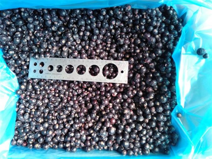 2025 New Corp Chất lượng h&agrave;ng đầu Gi&aacute; tốt IQF Hướng lạnh Black Currant tr&aacute;i c&acirc;y đ&ocirc;ng lạnh 2