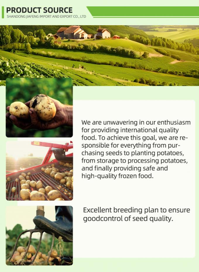 Tự động Chi&ecirc;n đ&oacute;ng băng Chi&ecirc;n đ&oacute;ng băng Organic IQF Chi&ecirc;n đ&oacute;ng băng Chi&ecirc;n đ&oacute;ng g&oacute;i h&agrave;ng loạt 10 kg Vật liệu tươi 1