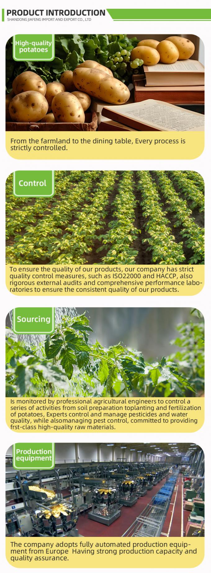 Tự động Chi&ecirc;n đ&oacute;ng băng Chi&ecirc;n đ&oacute;ng băng Organic IQF Chi&ecirc;n đ&oacute;ng băng Chi&ecirc;n đ&oacute;ng g&oacute;i h&agrave;ng loạt 10 kg Vật liệu tươi 2