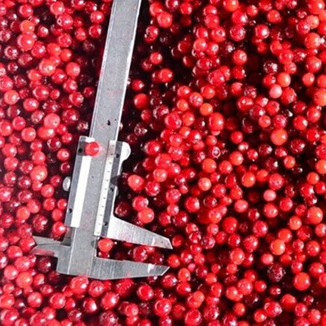 OEM/ODM b&aacute;n n&oacute;ng Sản phẩm b&aacute;n lẻ lớn IQF đ&ocirc;ng lạnh Lingonberry Nhu cầu cao IQF Tr&aacute;i c&acirc;y đ&ocirc;ng lạnh 0
