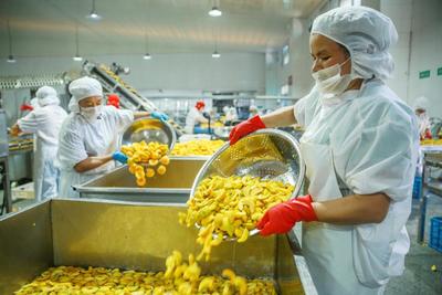 Đ&agrave;o v&agrave;ng hữu cơ IQF, cắt nửa, tr&aacute;i c&acirc;y đ&ocirc;ng lạnh, vị ngọt, đ&oacute;ng g&oacute;i số lượng lớn, bảo quản nước, thịt quả, nguy&ecirc;n quả, cắt khối, cắt hạt lựu, cắt nửa c&oacute; sẵn 8