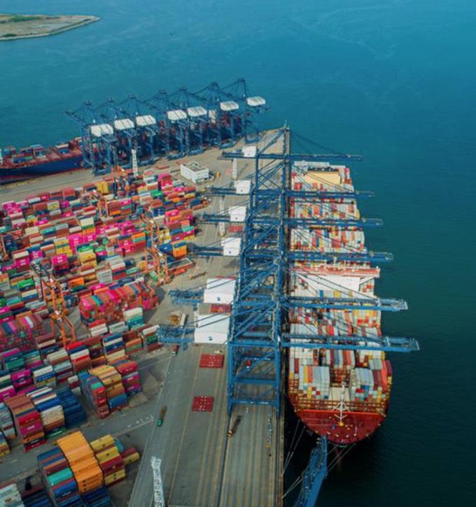 Đ&agrave;o v&agrave;ng hữu cơ IQF, cắt nửa, tr&aacute;i c&acirc;y đ&ocirc;ng lạnh, vị ngọt, đ&oacute;ng g&oacute;i số lượng lớn, bảo quản nước, thịt quả, nguy&ecirc;n quả, cắt khối, cắt hạt lựu, cắt nửa c&oacute; sẵn 13