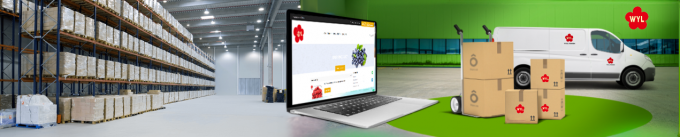 B&aacute;n Chạy Lẻ v&agrave; Sỉ Lẻ Lượng Lớn Mơ Đ&ocirc;ng Lạnh IQF Chất Lượng Cao Gi&aacute; Xưởng Bảo Quản Nước Đ&oacute;ng G&oacute;i Lớn 1