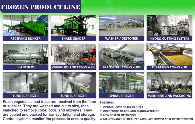 B&aacute;n Chạy Lẻ v&agrave; Sỉ Lẻ Lượng Lớn Mơ Đ&ocirc;ng Lạnh IQF Chất Lượng Cao Gi&aacute; Xưởng Bảo Quản Nước Đ&oacute;ng G&oacute;i Lớn 2