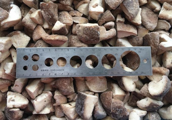 Nguồn gốc Trung Quốc b&aacute;n n&oacute;ng Iqf Thực phẩm N&ocirc;ng nấm trồng Shiitake N&ocirc;ng nấm cho Shiitake đ&ocirc;ng lạnh 2