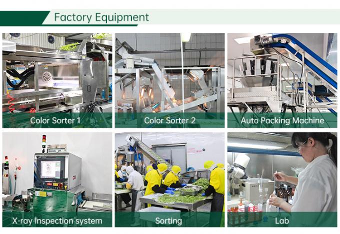 Nh&agrave; m&aacute;y rau củ đ&ocirc;ng lạnh HALAL được chứng nhận IQF C&agrave; chua th&aacute;i hạt lựu 10mm C&agrave; chua th&aacute;i hạt lựu đ&ocirc;ng lạnh tại Trung Quốc 2