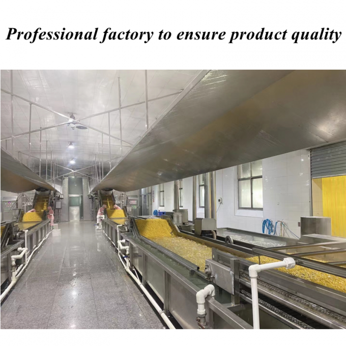 Gi&aacute; Cả Cạnh Tranh Chất Lượng Cao Ng&ocirc; Ngọt Đ&ocirc;ng Lạnh Hạt Bắp Hữu Cơ Kh&ocirc;ng Biến Đổi Gen Đ&oacute;ng G&oacute;i Số Lượng Lớn 1