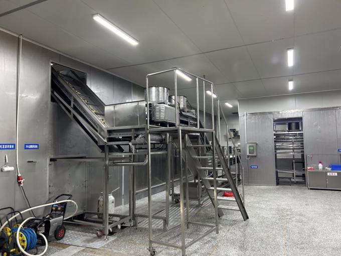 IQF Bốn loại rau đ&ocirc;ng lạnh: Đậu H&agrave; Lan & Hạt bắp ngọt & C&agrave; rốt & Đậu xanh 8