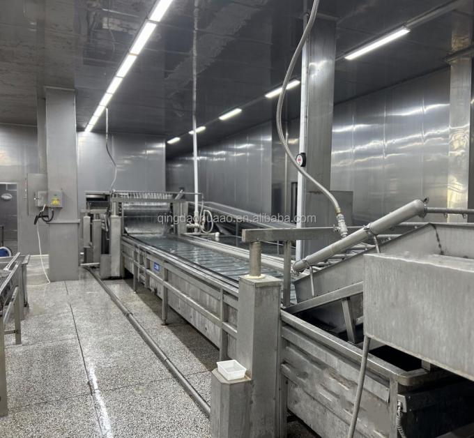 IQF Bốn loại rau đ&ocirc;ng lạnh: Đậu H&agrave; Lan & Hạt bắp ngọt & C&agrave; rốt & Đậu xanh 9