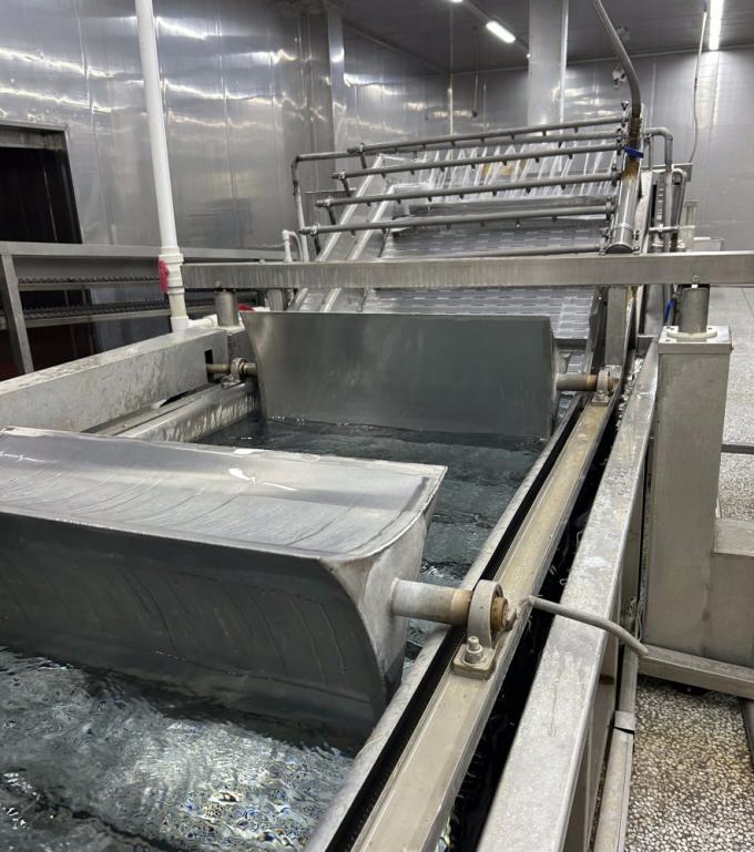 IQF Bốn loại rau đ&ocirc;ng lạnh: Đậu H&agrave; Lan & Hạt bắp ngọt & C&agrave; rốt & Đậu xanh 12