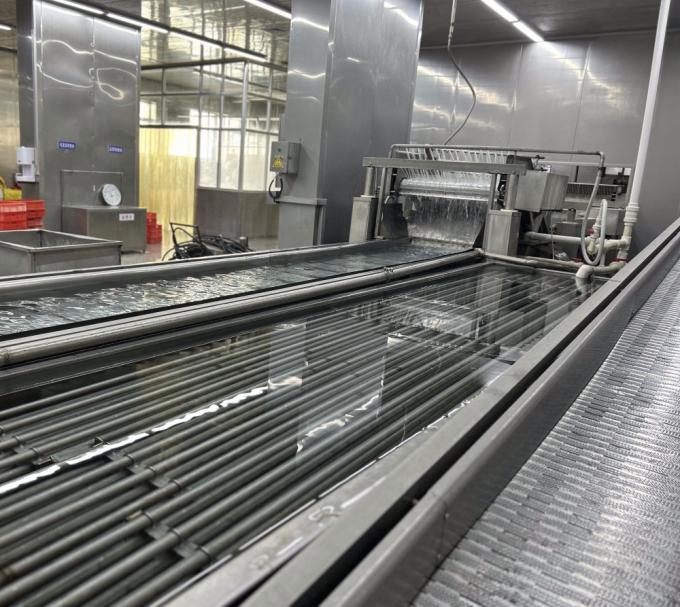 IQF Bốn loại rau đ&ocirc;ng lạnh: Đậu H&agrave; Lan & Hạt bắp ngọt & C&agrave; rốt & Đậu xanh 13