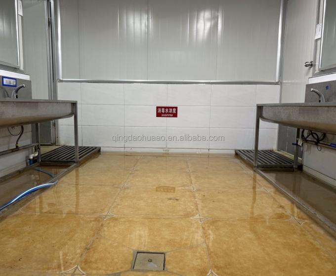 IQF Bốn loại rau đ&ocirc;ng lạnh: Đậu H&agrave; Lan & Hạt bắp ngọt & C&agrave; rốt & Đậu xanh 14