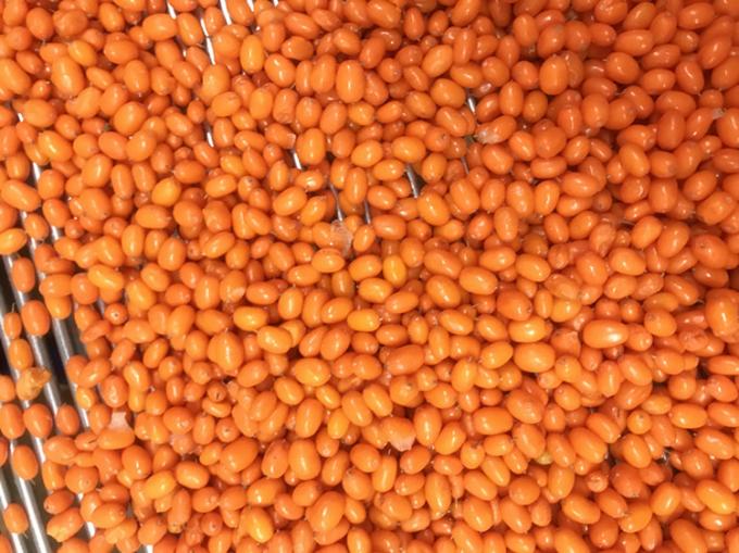 Nguồn gốc Trung Quốc IQF Tươi Đ&ocirc;ng Lạnh T&aacute;o gai hoang d&atilde; hạng nhất T&aacute;o gai, Việt quất quất, M&acirc;m x&ocirc;i, Quả việt quất hỗn hợp 2