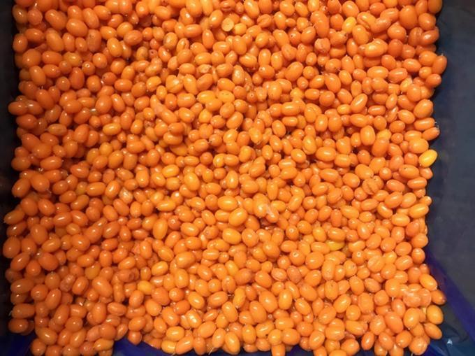 Nguồn gốc Trung Quốc IQF Tươi Đ&ocirc;ng Lạnh T&aacute;o gai hoang d&atilde; hạng nhất T&aacute;o gai, Việt quất quất, M&acirc;m x&ocirc;i, Quả việt quất hỗn hợp 3