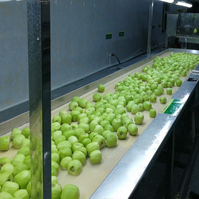 Quả kiwi đ&ocirc;ng lạnh Tr&aacute;i c&acirc;y đ&ocirc;ng lạnh Quả kiwi vi&ecirc;n Chất lượng Tự nhi&ecirc;n 5