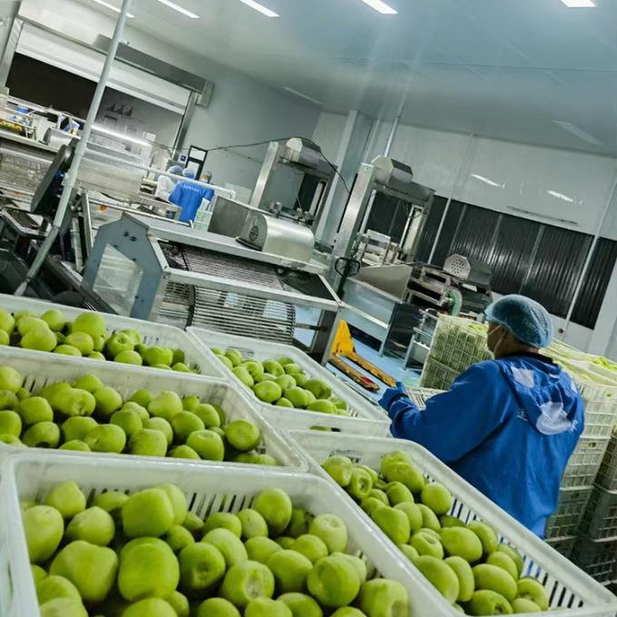 Quả kiwi đ&ocirc;ng lạnh Tr&aacute;i c&acirc;y đ&ocirc;ng lạnh Quả kiwi vi&ecirc;n Chất lượng Tự nhi&ecirc;n 4