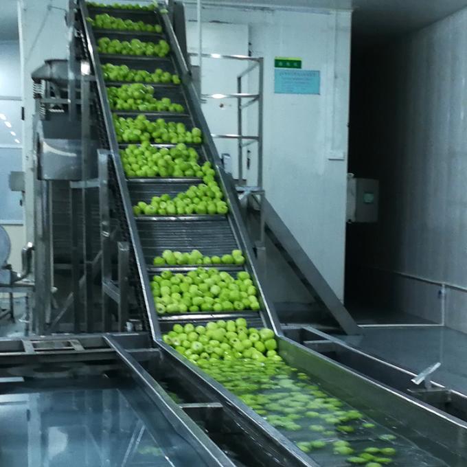 Quả kiwi đ&ocirc;ng lạnh Tr&aacute;i c&acirc;y đ&ocirc;ng lạnh Quả kiwi vi&ecirc;n Chất lượng Tự nhi&ecirc;n 6