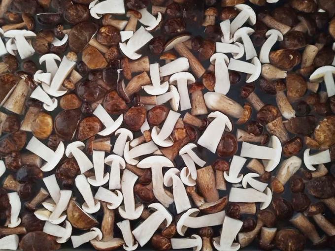 Nấm đ&ocirc;ng lạnh IQF BOLETUS EDULIS lớp A 24 th&aacute;ng Thời hạn sử dụng ISO HACCP BRC KOSHER HALAL Ti&ecirc;u chứng 10 tấn MOQ 0