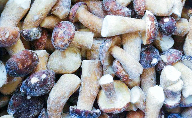 Nấm đ&ocirc;ng lạnh IQF BOLETUS EDULIS lớp A 24 th&aacute;ng Thời hạn sử dụng ISO HACCP BRC KOSHER HALAL Ti&ecirc;u chứng 10 tấn MOQ 2