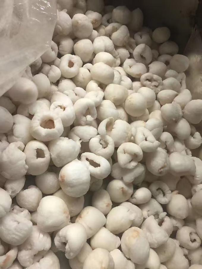 Lượng Lychee đ&ocirc;ng lạnh to&agrave;n bộ, lột vỏ trong bao b&igrave; carton h&agrave;ng loạt IQF Hương vị ngọt 3