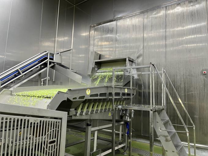 Quả m&acirc;m t&acirc;y đ&ocirc;ng lạnh tươi chất lượng cao được chọn tay cho hương vị ngọt cho nước tr&aacute;i c&acirc;y M&oacute;n tr&aacute;ng miệng M&oacute;n sữa 10